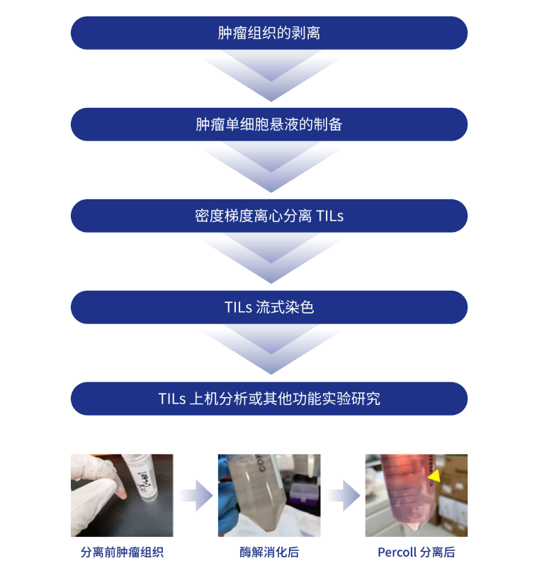 流程.png