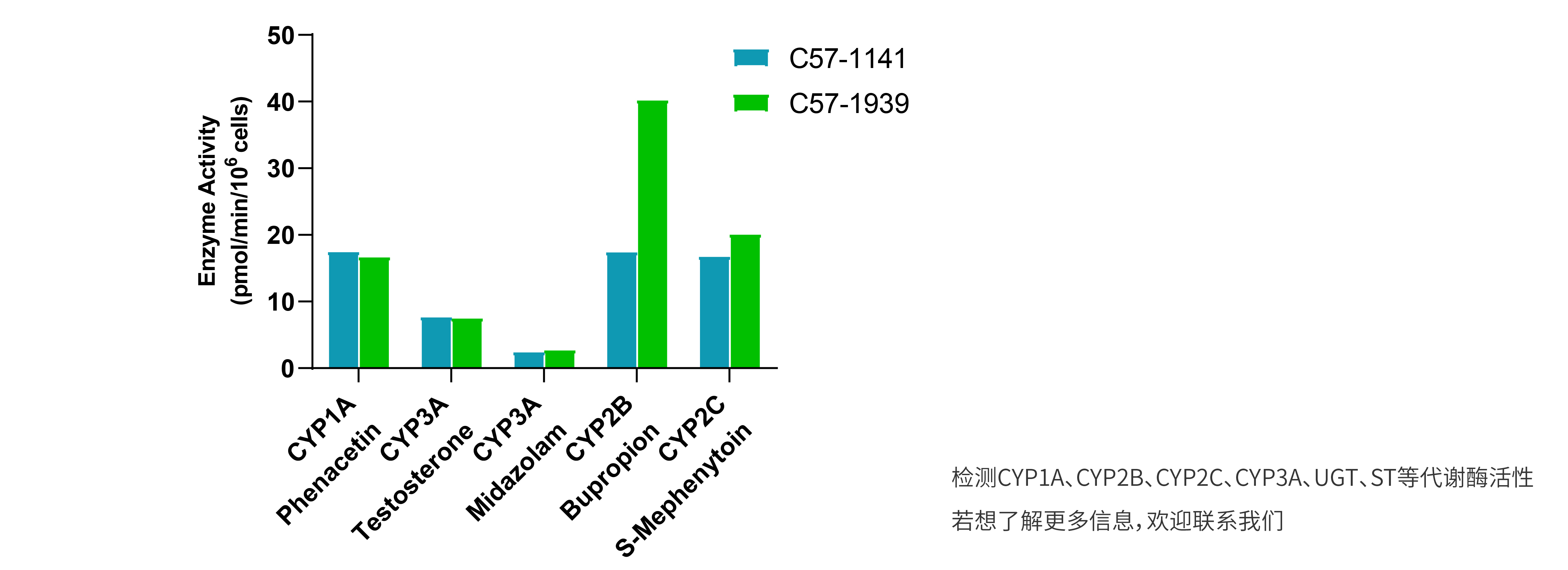 C57小鼠冻存悬浮P450酶批次间活性稳定性数据展示