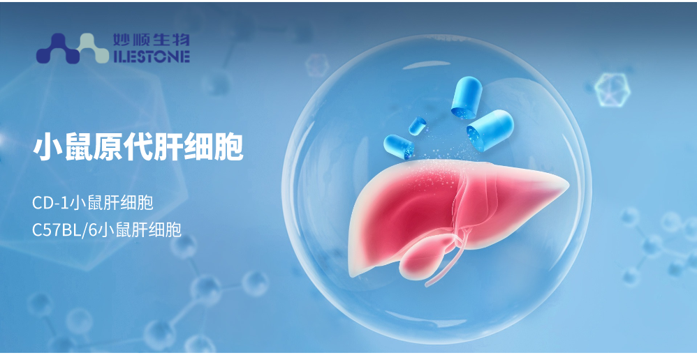 必赢国际bwi437 | 优质啮齿类原代肝细胞产品