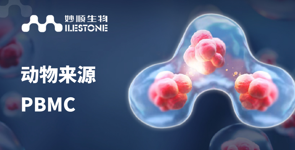 必赢国际bwi437 | 动物来源PBMC上市