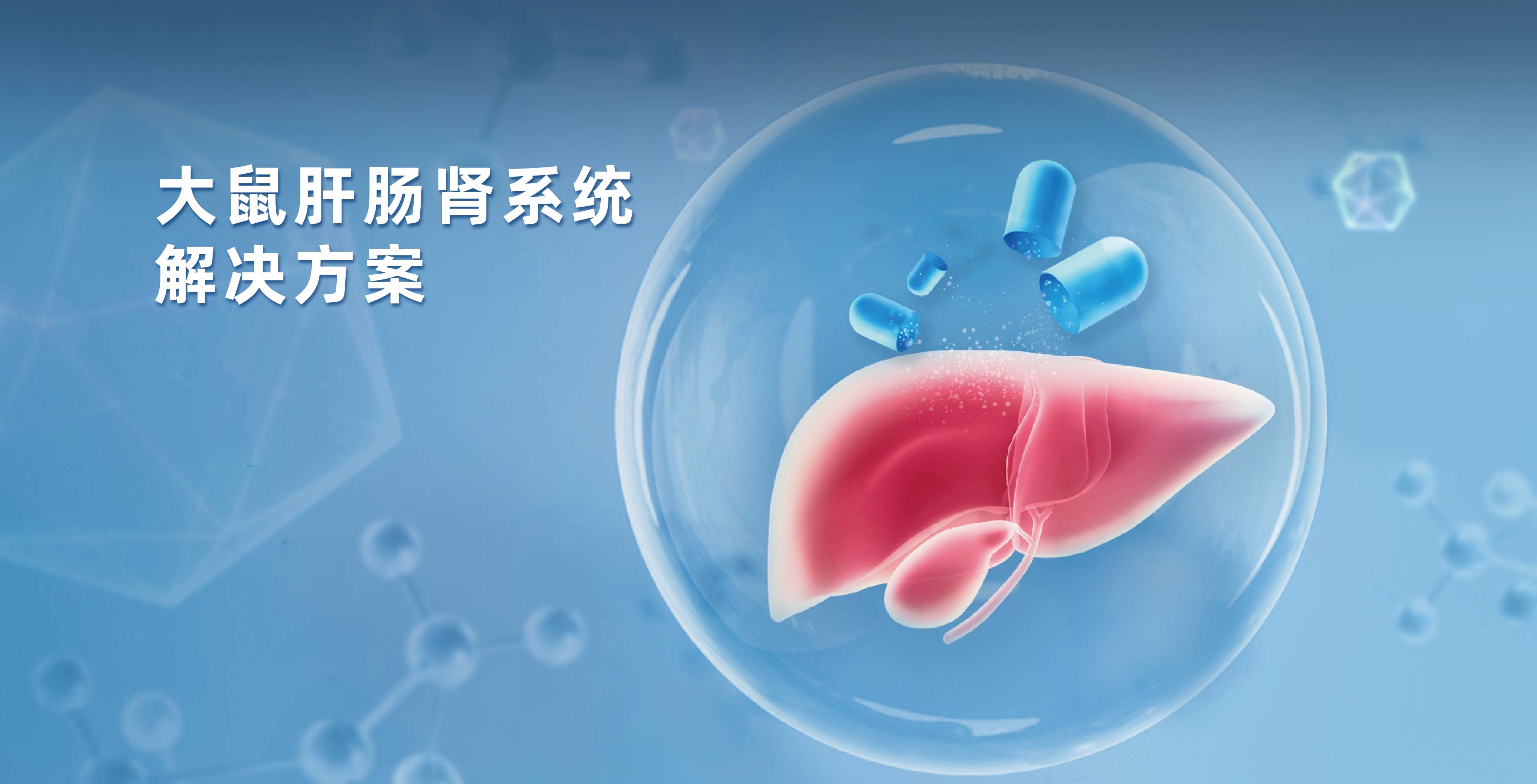 专业级大鼠肝/肠/肾细胞、亚细胞组分解决方案