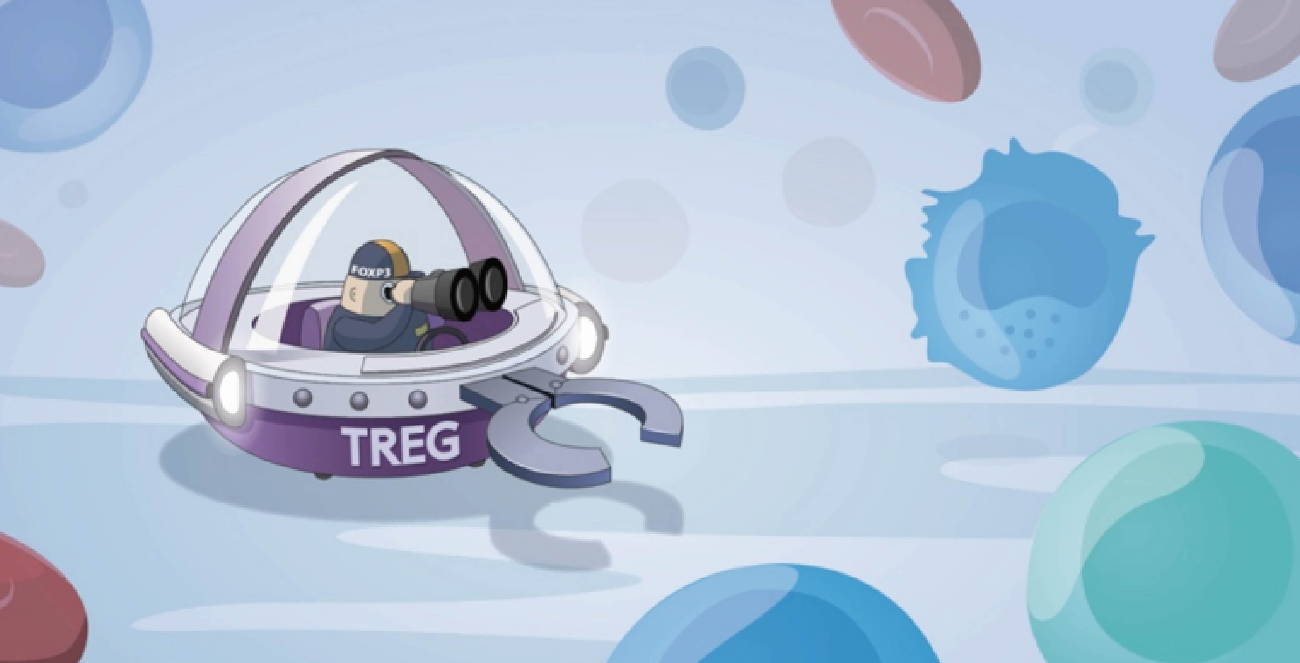 必赢国际bwi437 | iTreg 诱导制备服务