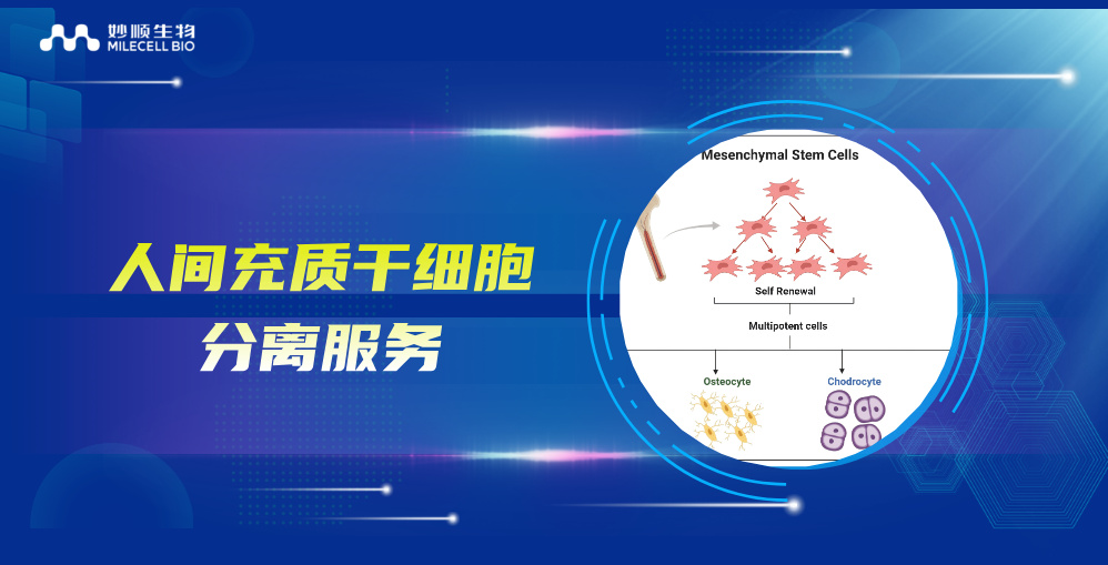 新品上市｜必赢国际bwi437推出人间充质干细胞分离服务