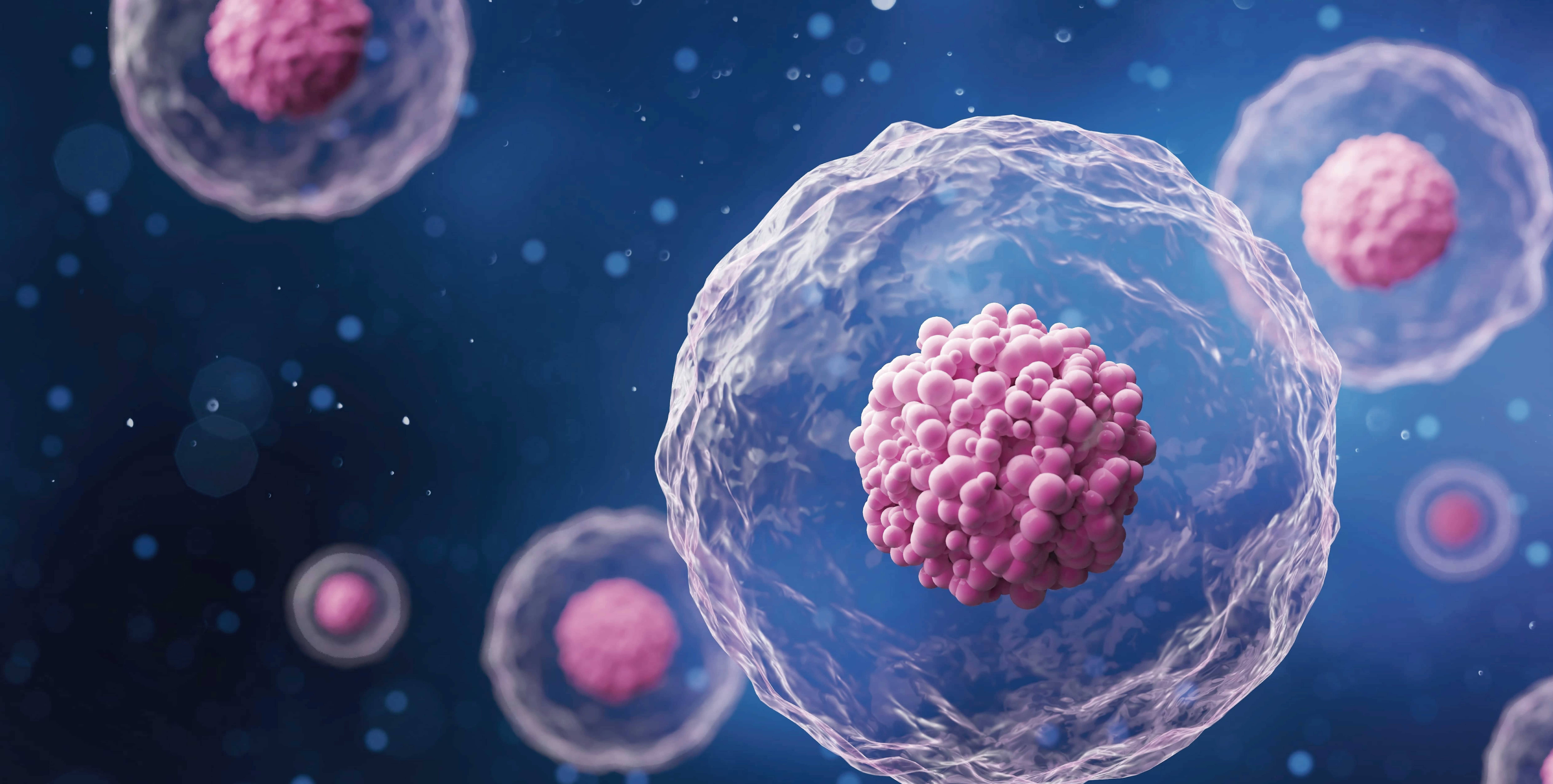 赋能多维度免疫细胞分选