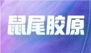 必赢国际bwi437亮相中国毒理学会第九次全国青年科技大会并在现场分享报告！(图15)