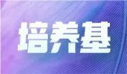 必赢国际bwi437亮相中国毒理学会第九次全国青年科技大会并在现场分享报告！(图13)