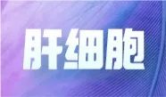 必赢国际bwi437亮相中国毒理学会第九次全国青年科技大会并在现场分享报告！(图12)