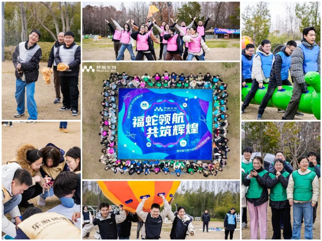 必赢国际资讯 | 2025年年会暨年度表彰大会圆满举行(图17)