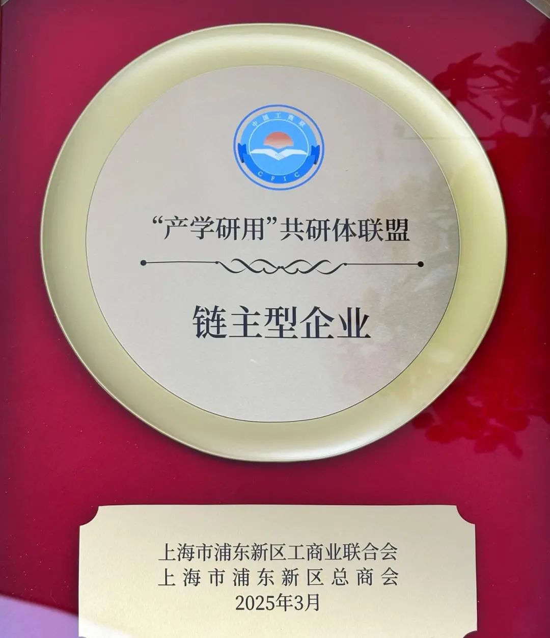 喜讯分享丨必赢国际bwi437荣获浦东新区工商联“产学研用-共研体联盟”链主型企业授牌(图2)