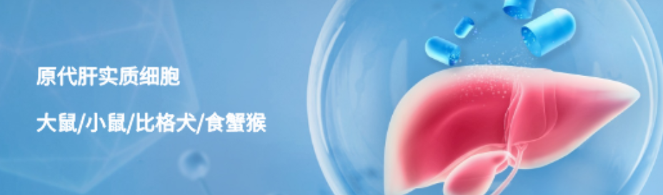 必赢国际bwi437｜中美关税战下，生物医药国产替代的新力量(图6)