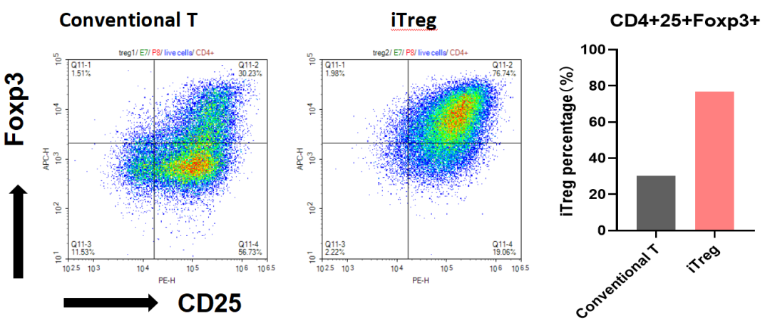 必赢国际bwi437 | iTreg 诱导制备服务(图2)