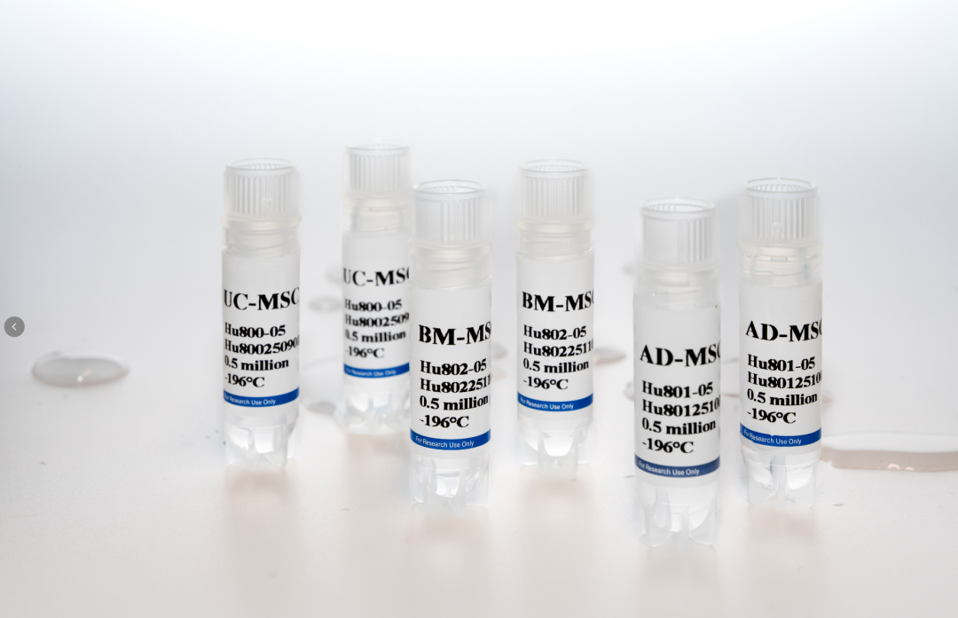 新品上市|必赢国际bwi437推出人间充质干细胞分离服务(图1)