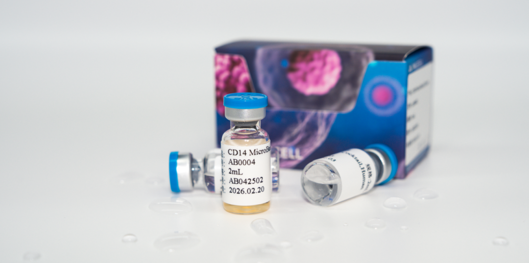 更懂细胞，更优分选系列（三）| Milecell MagSep™ CD14阳选磁珠(图1)