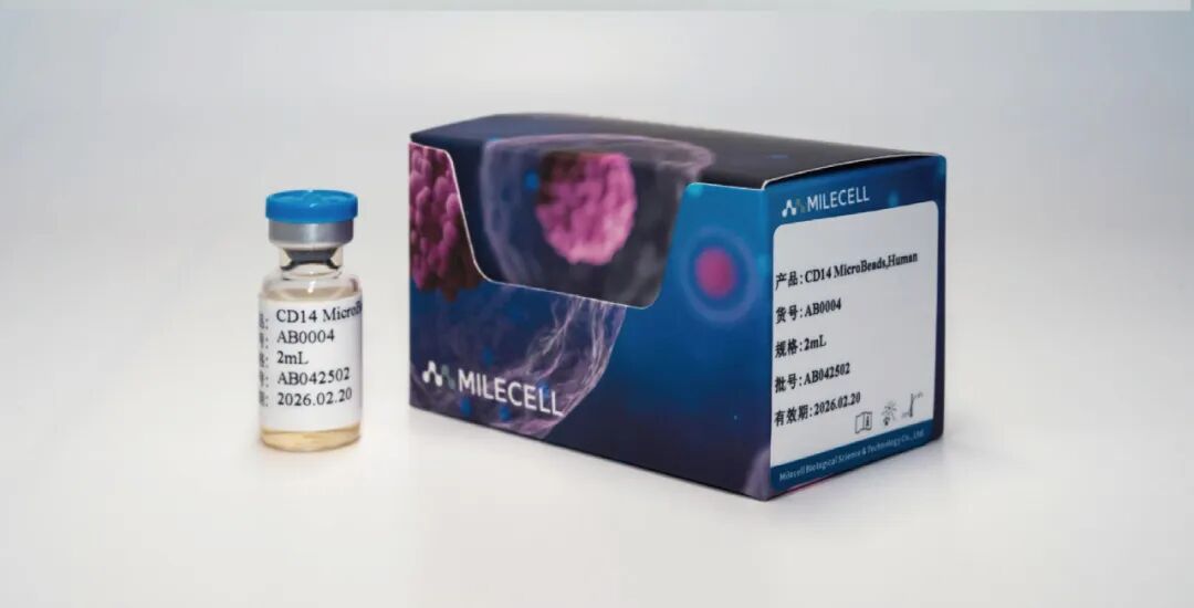 更懂细胞,更优分选系列(四)| Milecell MagSep™ Pan T细胞阴选试剂盒(图13)