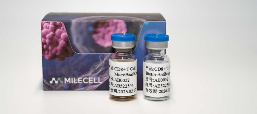 更懂细胞,更优分选系列(五)| Milecell MagSep™ CD8+ T细胞阴选试剂盒(图1)