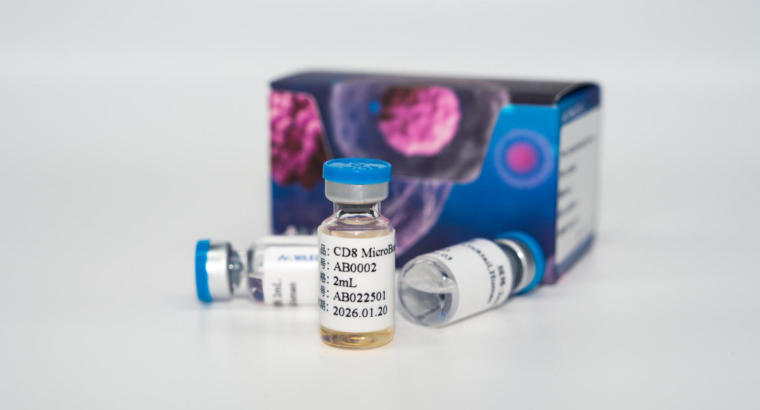 更懂细胞,更优分选系列(五)| Milecell MagSep™ CD8+ T细胞阴选试剂盒(图12)