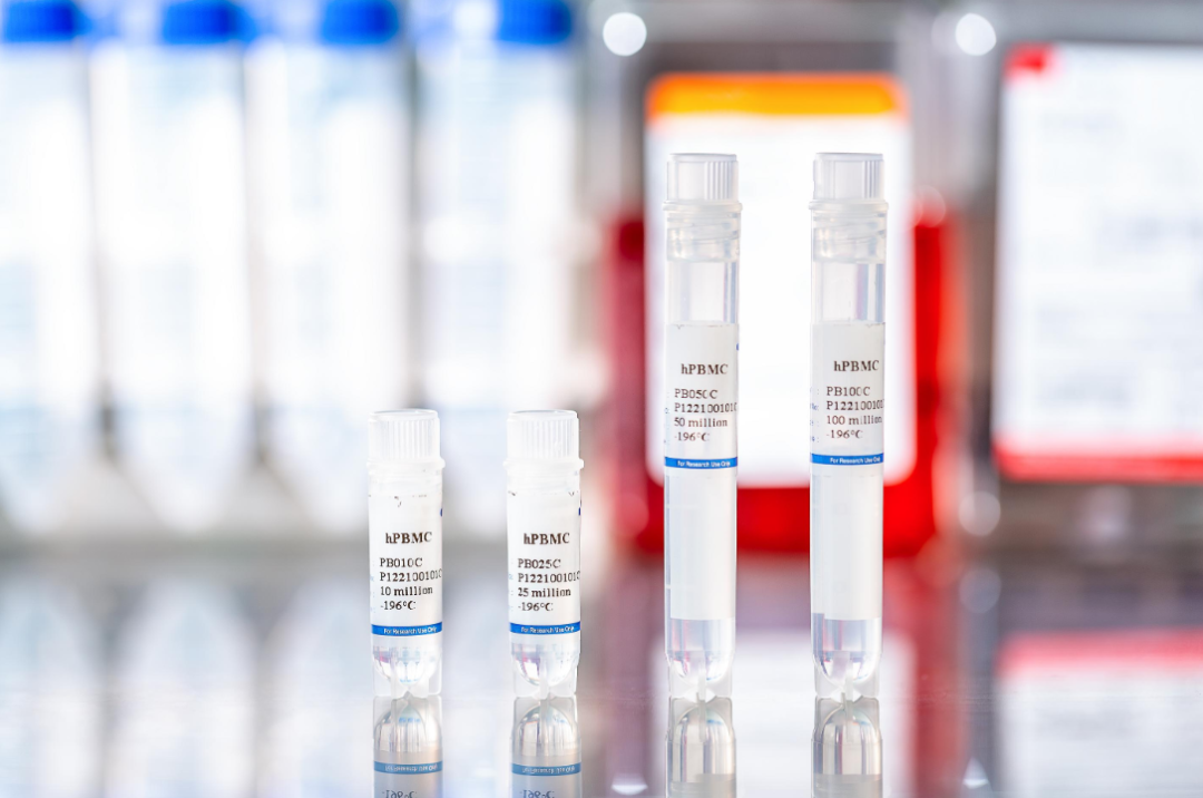 新品上市｜PBMC  NOG-dKO 小鼠体内建模验证服务(图2)