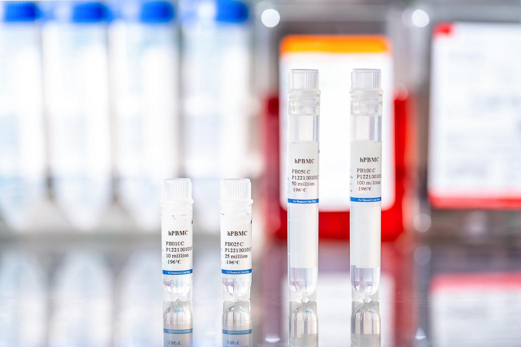 必赢国际bwi437 ｜ 优选 PBMC 之 TDCC 验证服务(图1)