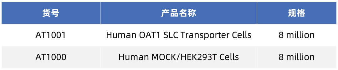 SLC转运体系列（一）即用型“人OAT1转运体细胞”重磅上线！(图4)