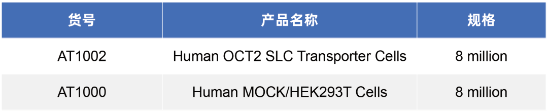 SLC转运体系列（二）即用型“人OCT2转运体细胞”全新亮相(图4)